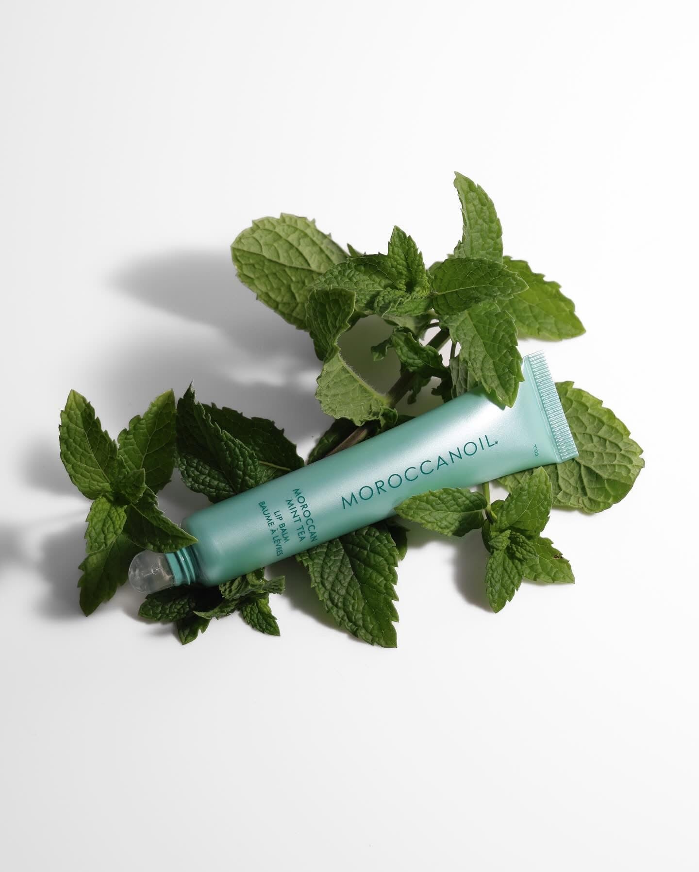 Moroccanoil Lip Balm